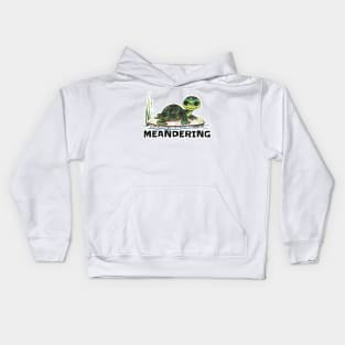 Meandering Turtle Kids Hoodie